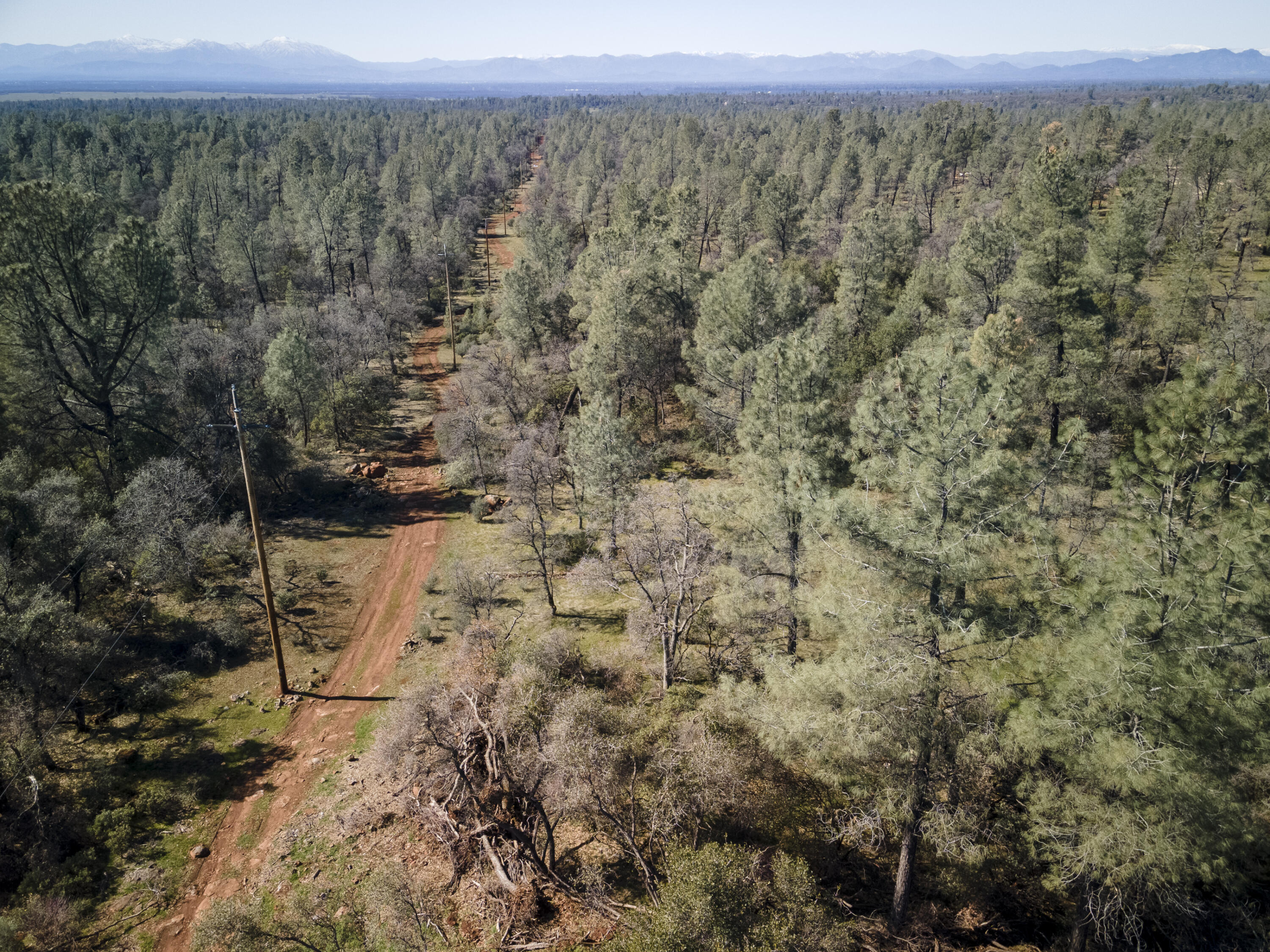 Merrilea Lane Shingletown, CA 96088 - Photo 21 of 29 Aerial-04