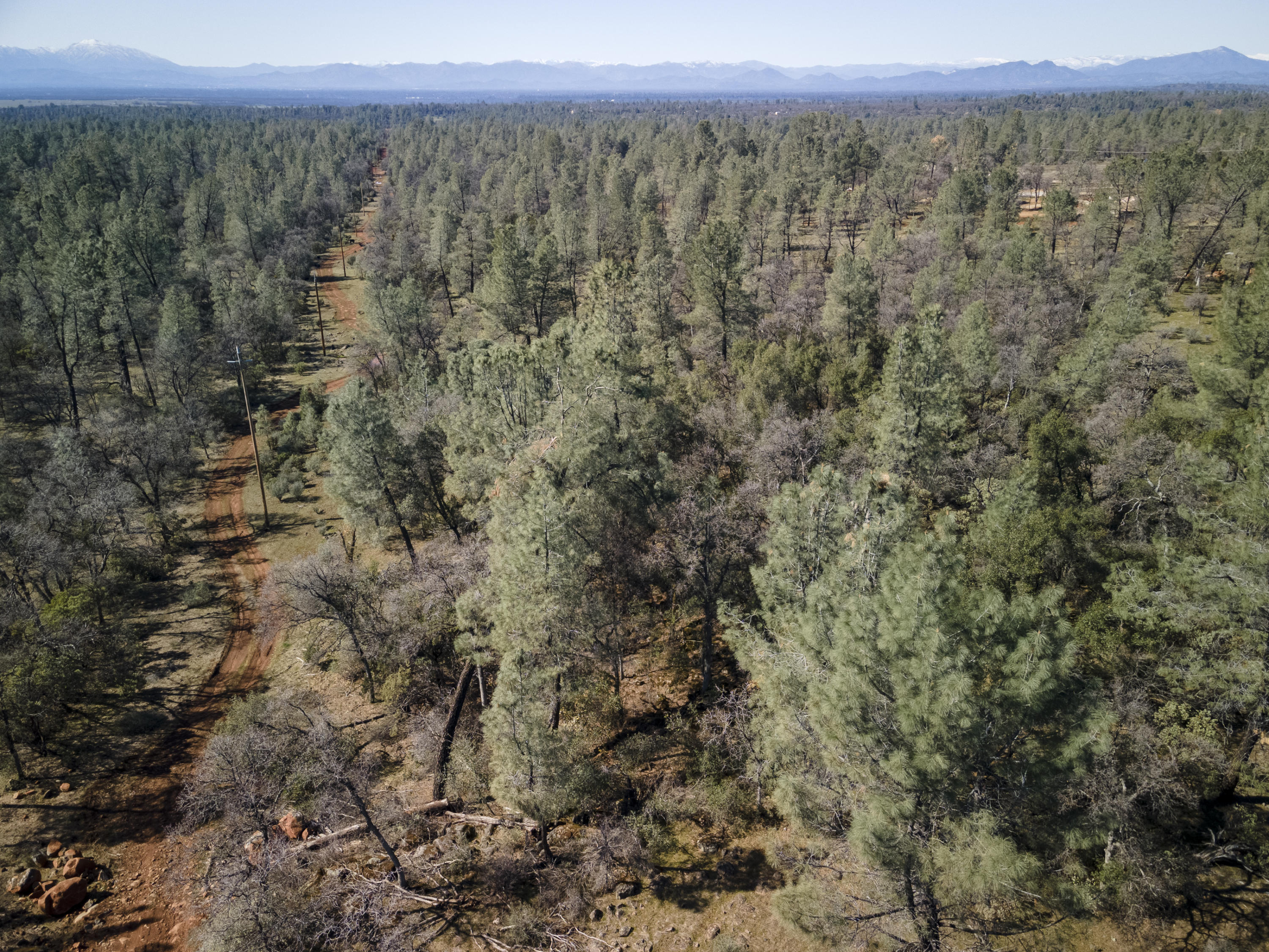 Merrilea Lane Shingletown, CA 96088 - Photo 22 of 29 Aerial-05