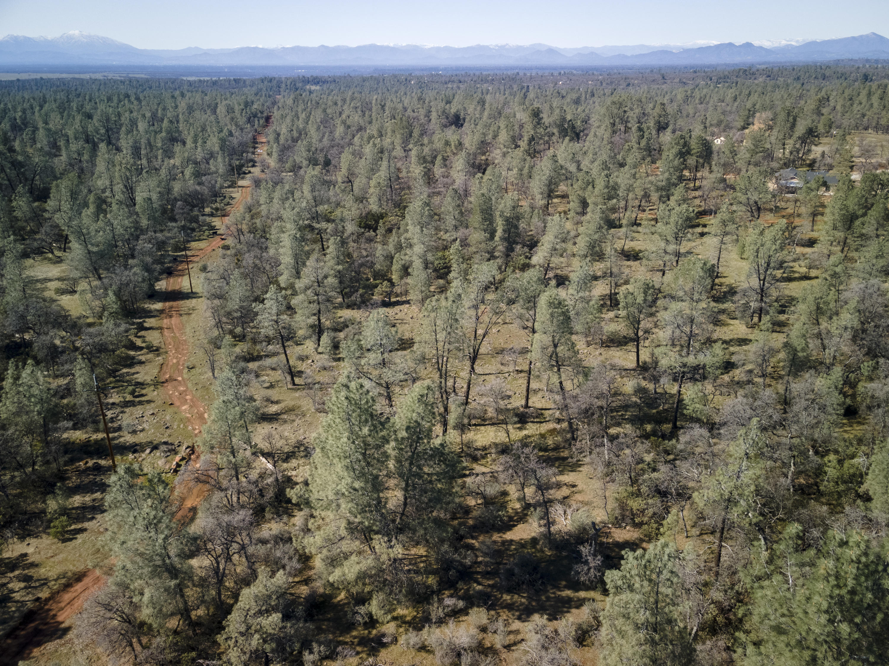 Merrilea Lane Shingletown, CA 96088 - Photo 23 of 29 Aerial-06