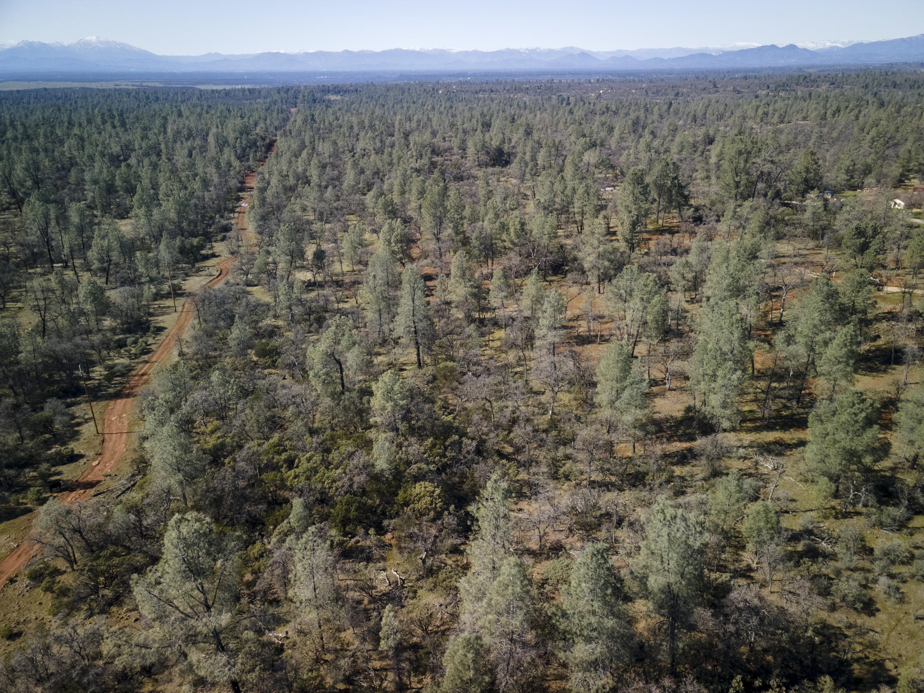 Merrilea Lane Shingletown, CA 96088 - Photo 24 of 29 Aerial-07