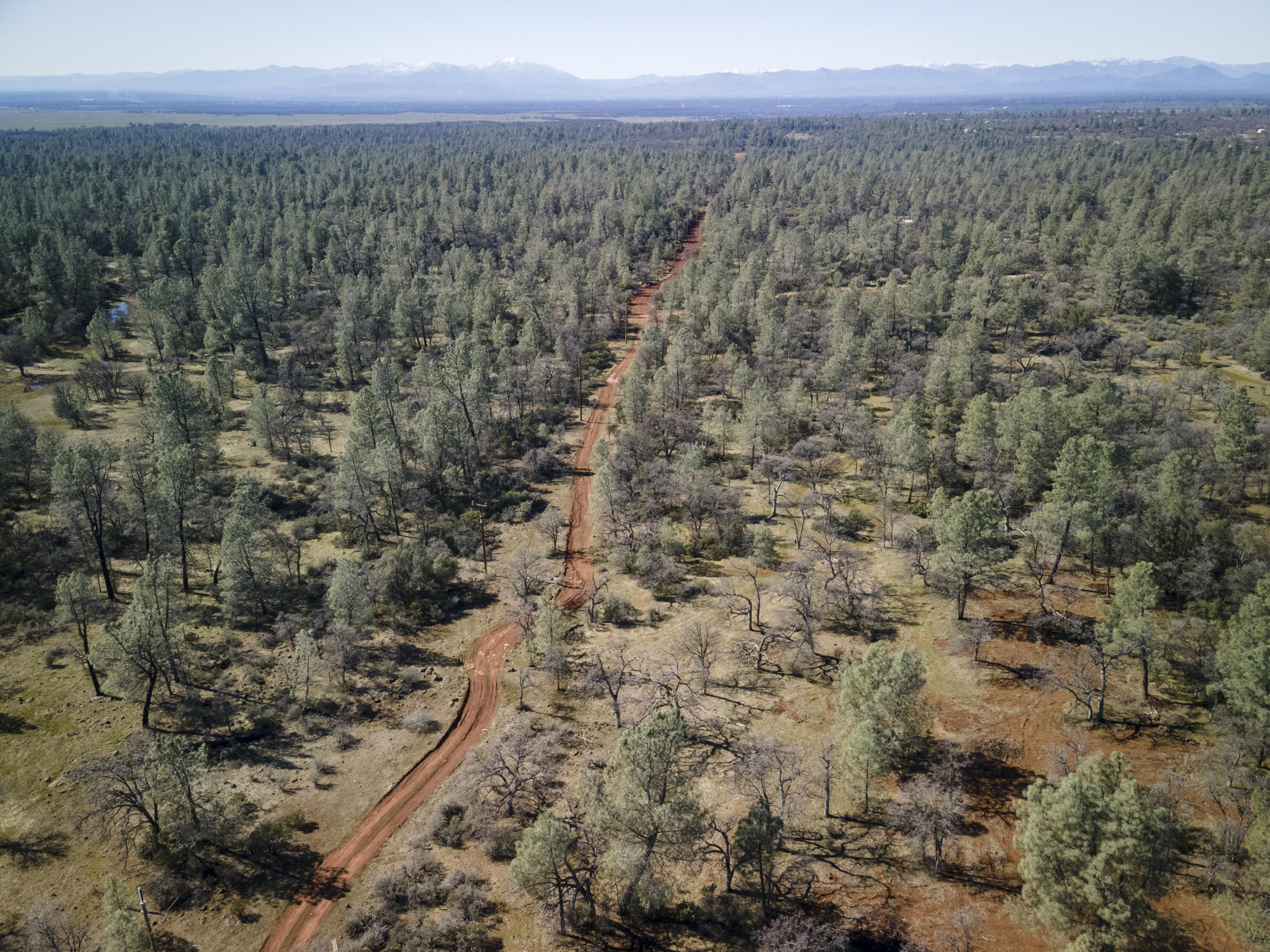 Merrilea Lane Shingletown, CA 96088 - Photo 25 of 29 Aerial-10
