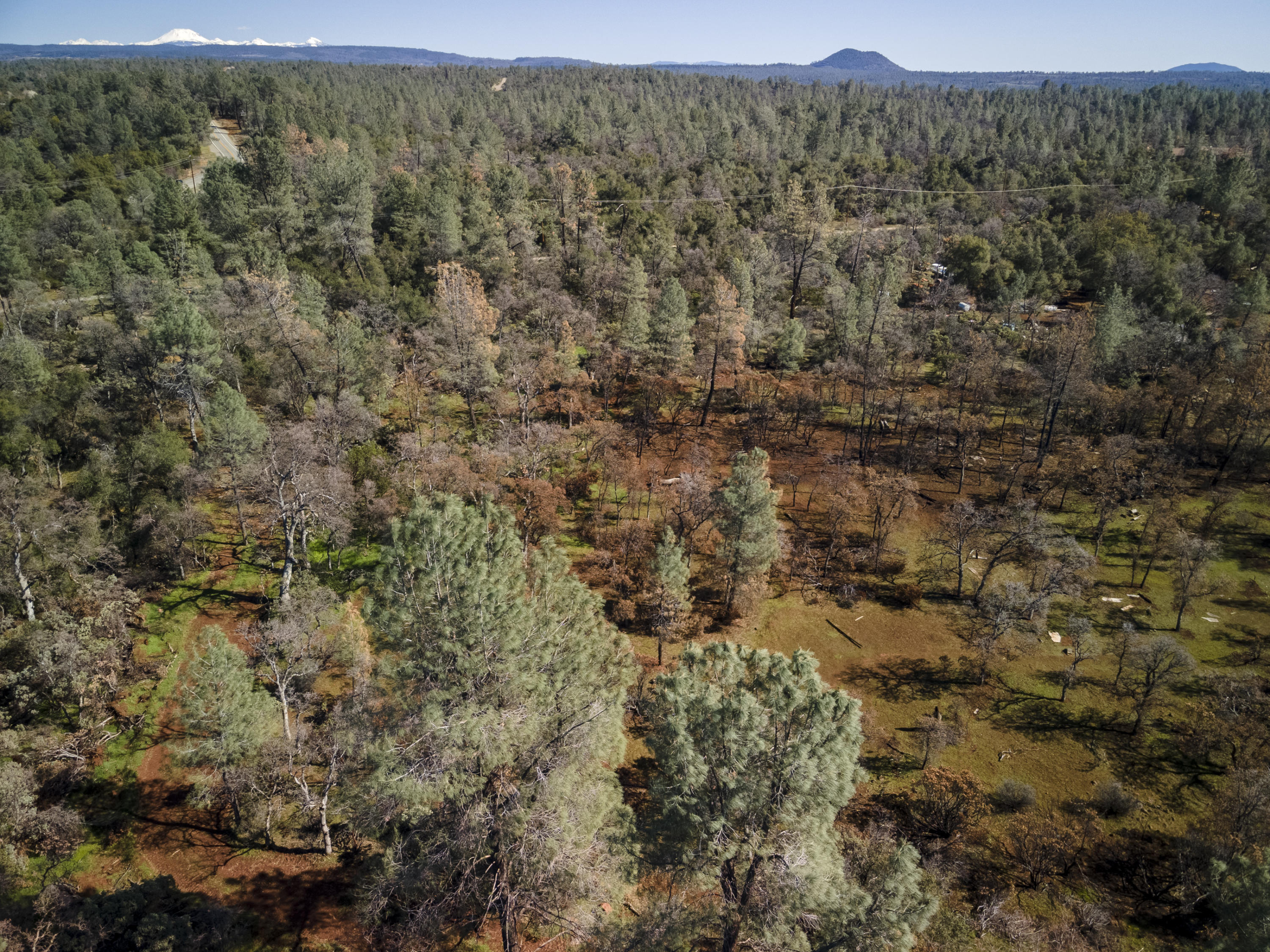 Merrilea Lane Shingletown, CA 96088 - Photo 27 of 29 Aerial-15