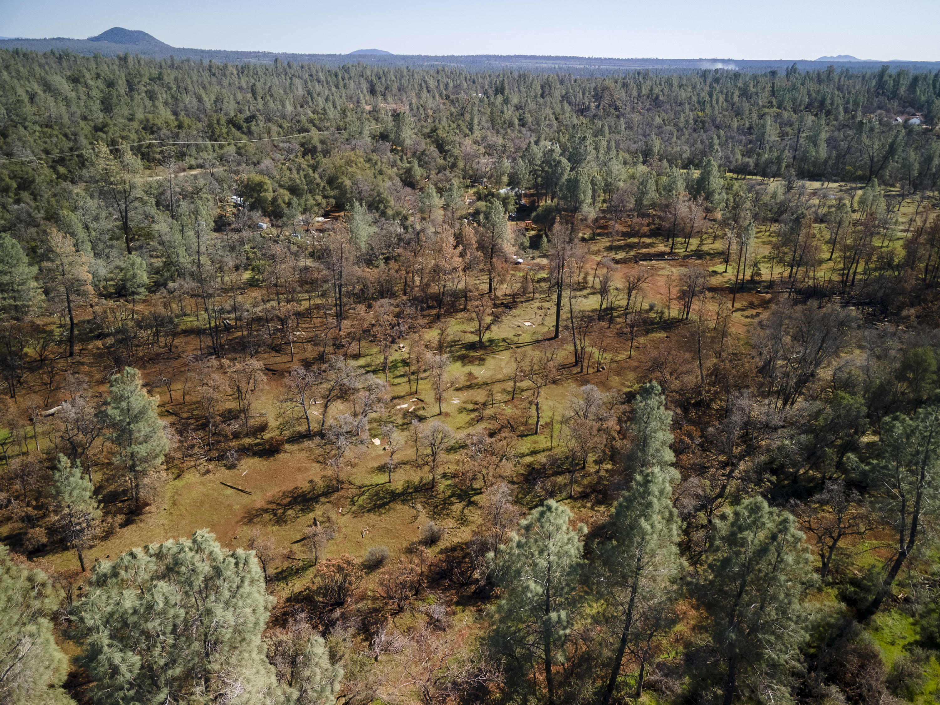 Merrilea Lane Shingletown, CA 96088 - Photo 28 of 29 Aerial-16