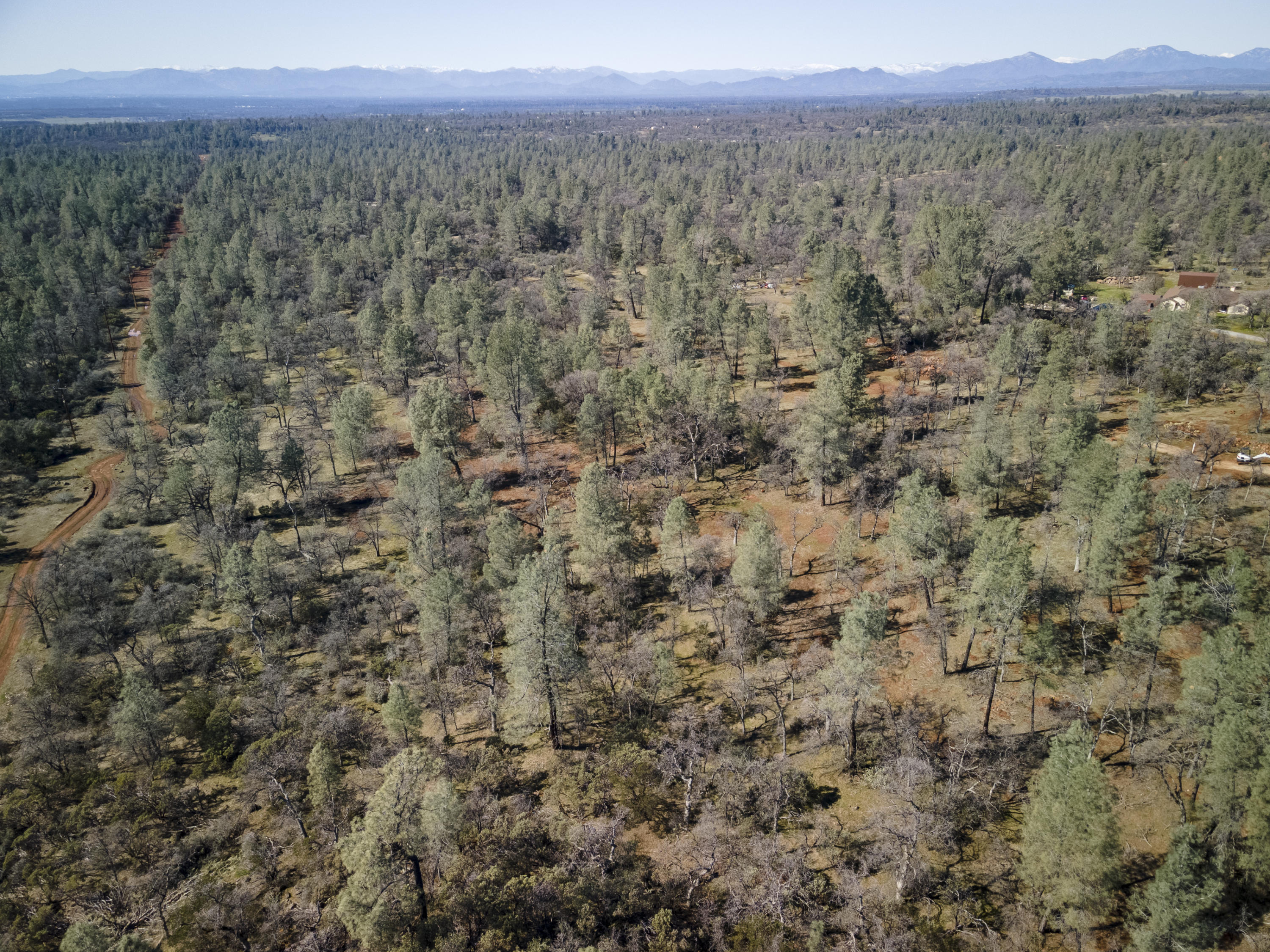 Merrilea Lane Shingletown, CA 96088 - Photo 4 of 29 Aerial-08
