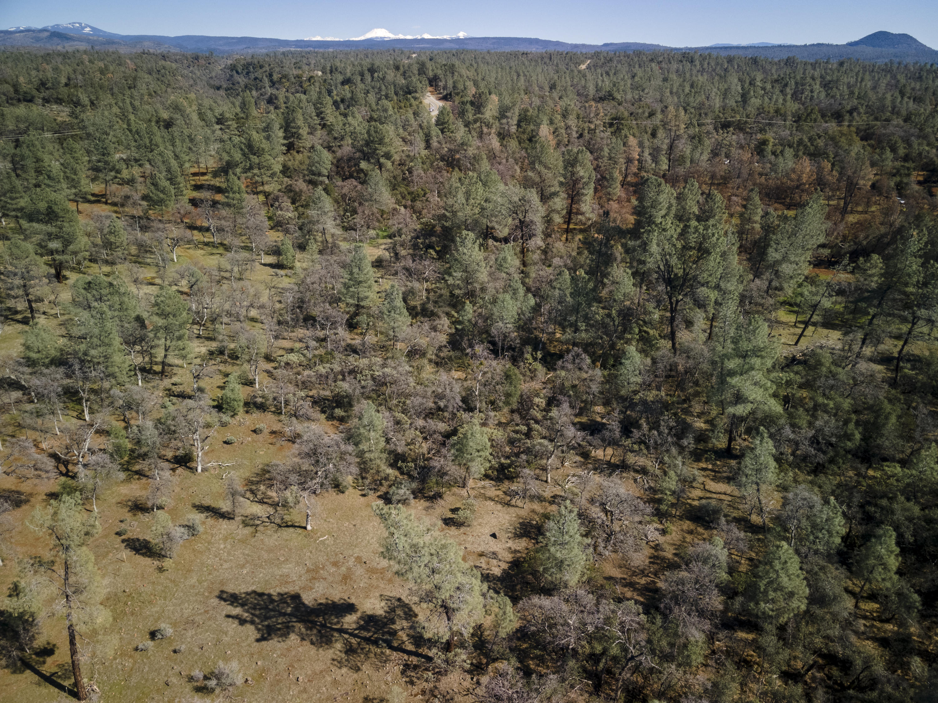Merrilea Lane Shingletown, CA 96088 - Photo 6 of 29 Aerial-13