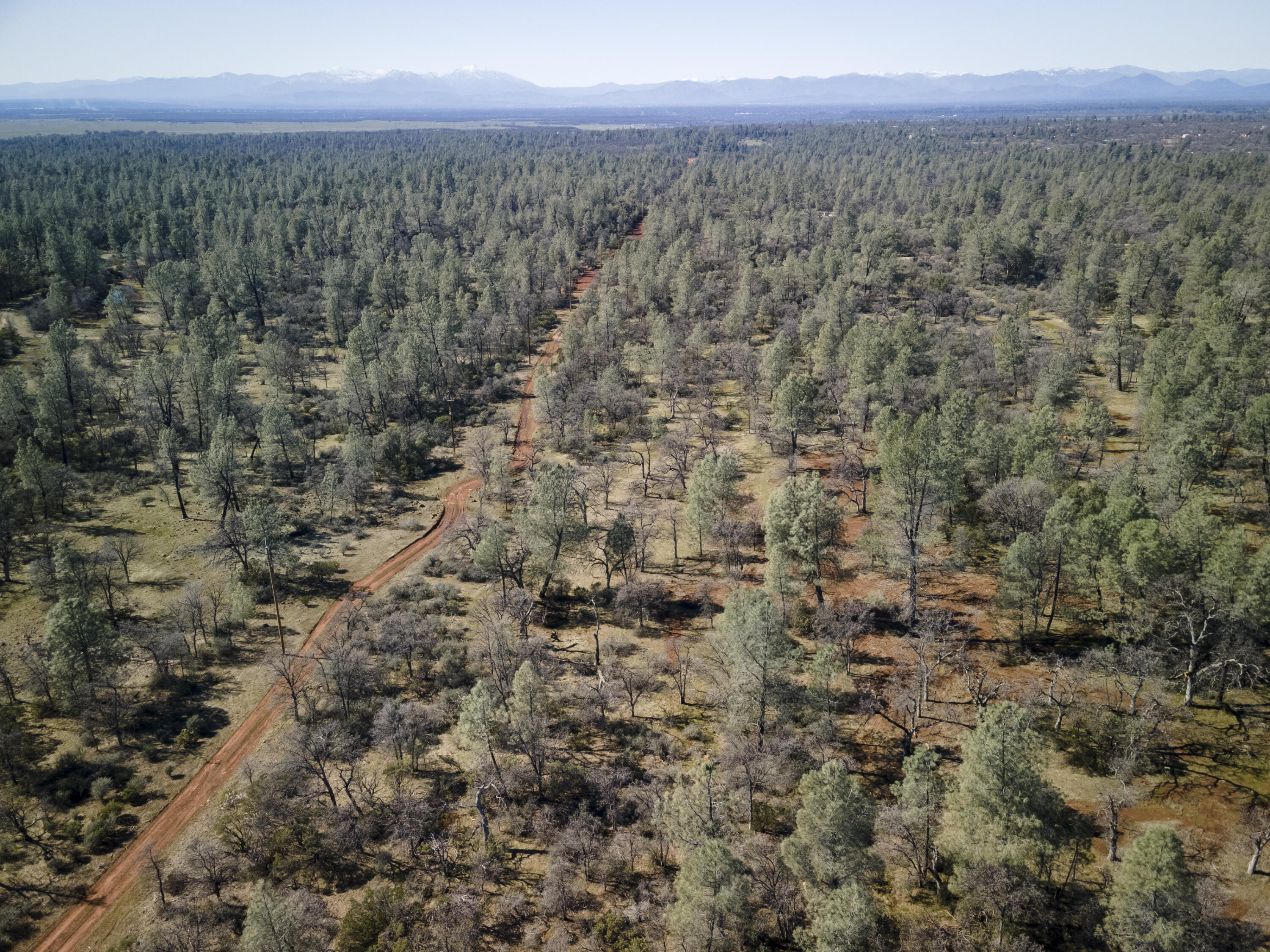 Merrilea Lane Shingletown, CA 96088 - Photo 7 of 29 Aerial-09