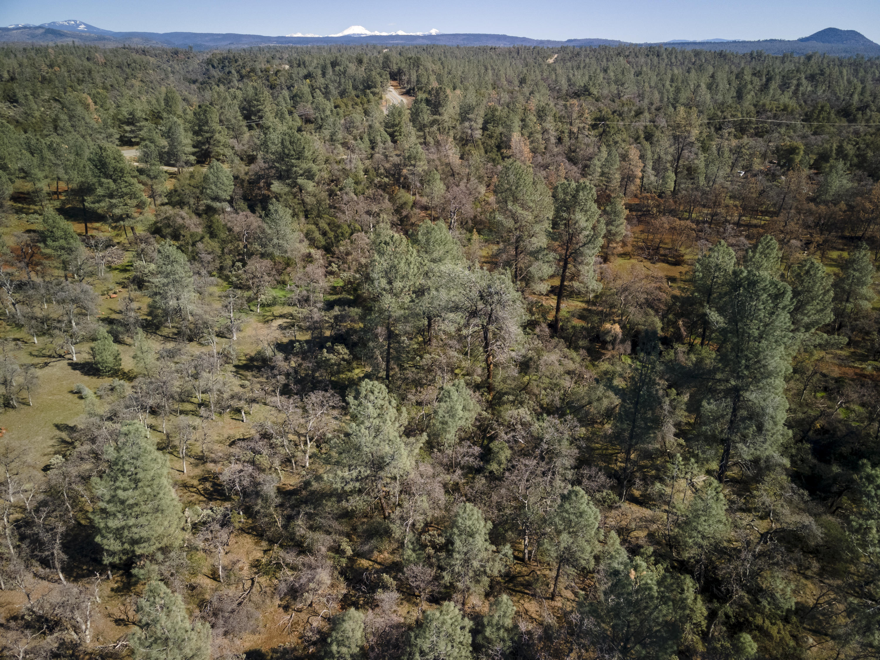 Merrilea Lane Shingletown, CA 96088 - Photo 8 of 29 Aerial-14