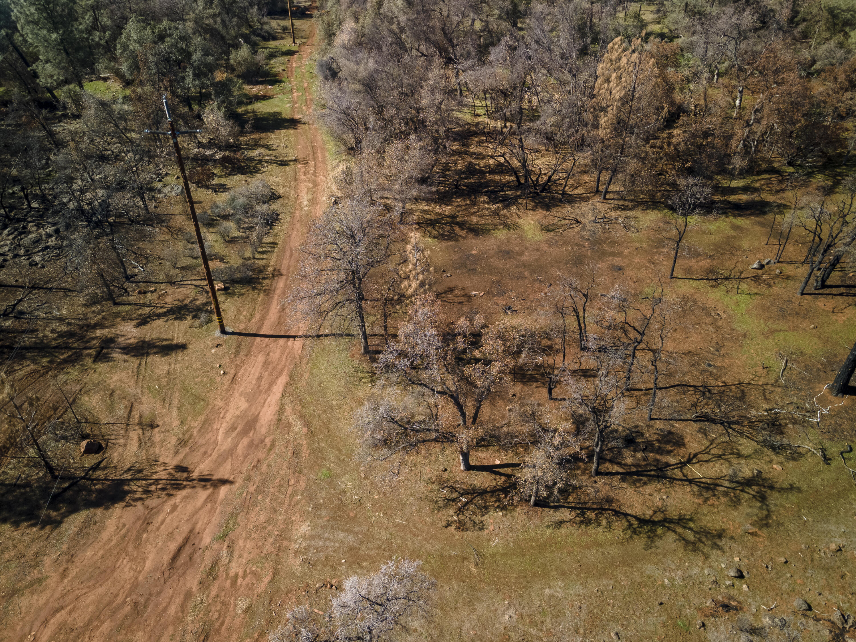 Merrilea Lane Shingletown, CA 96088 - Photo 9 of 29 Aerial-02