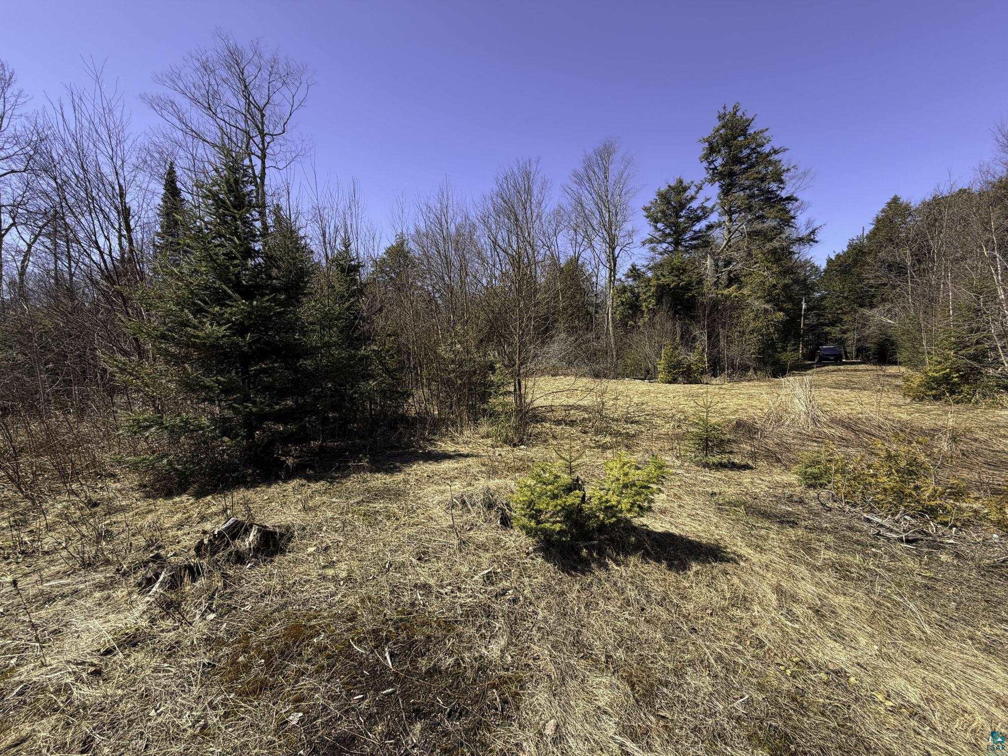 4121 Chippewa Trail La Pointe, WI 54850 - Photo 9 of 12