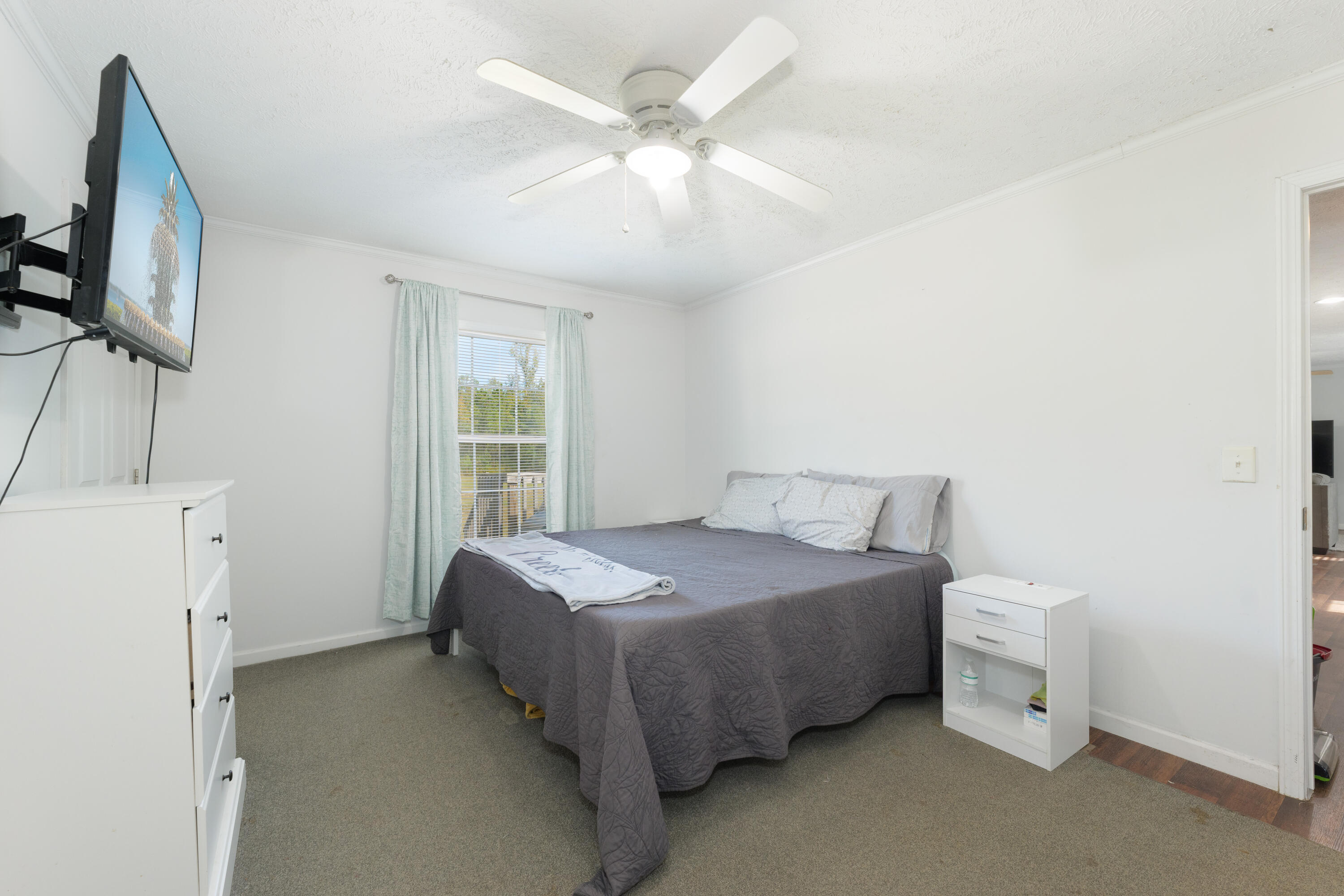314 Harry Lane Moncks Corner, SC 29461 - Photo 8 of 25 P1022378-Edit