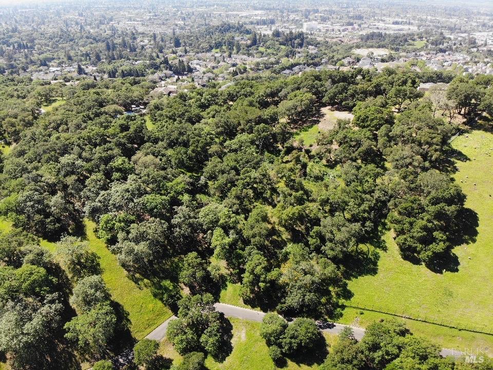 3779 Nielsen Road Santa Rosa, CA 95403 - Photo 5 of 17