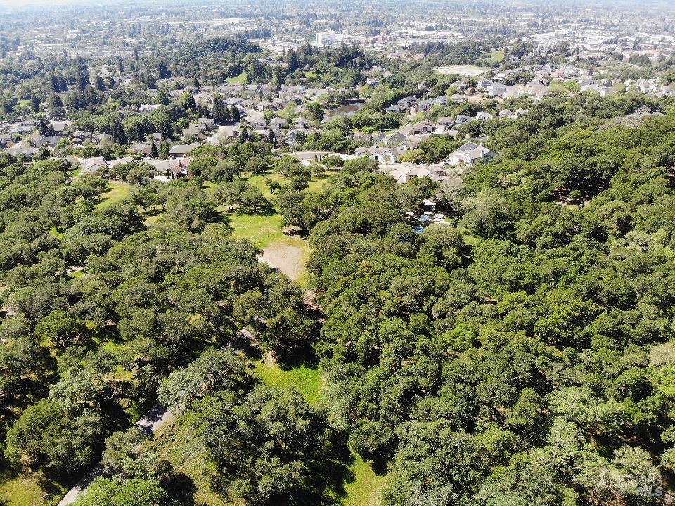 3779 Nielsen Road Santa Rosa, CA 95403 - Photo 6 of 17