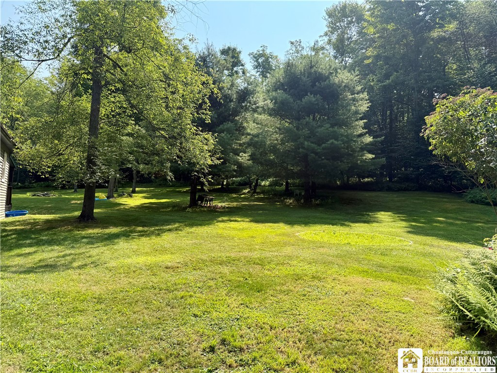 3082 Wolf Creek Road Clarksville, NY 14727 - Photo 3 of 34