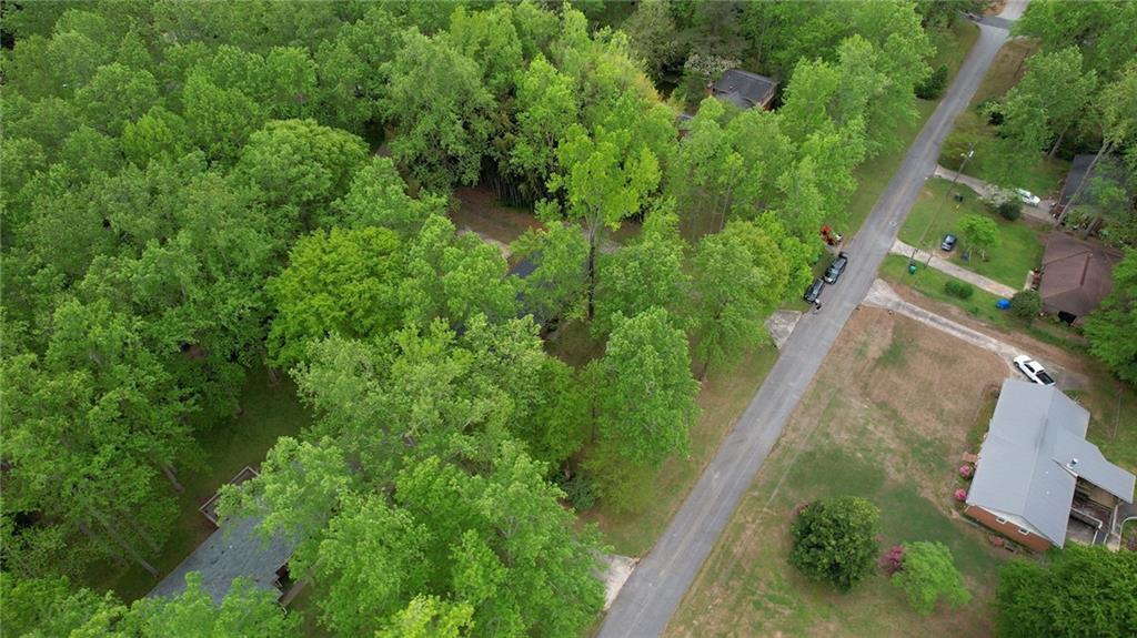 555 Joy Street Jackson, GA 30233 - Photo 54 of 56 an aerial view of residential house with outdoor space and trees all around