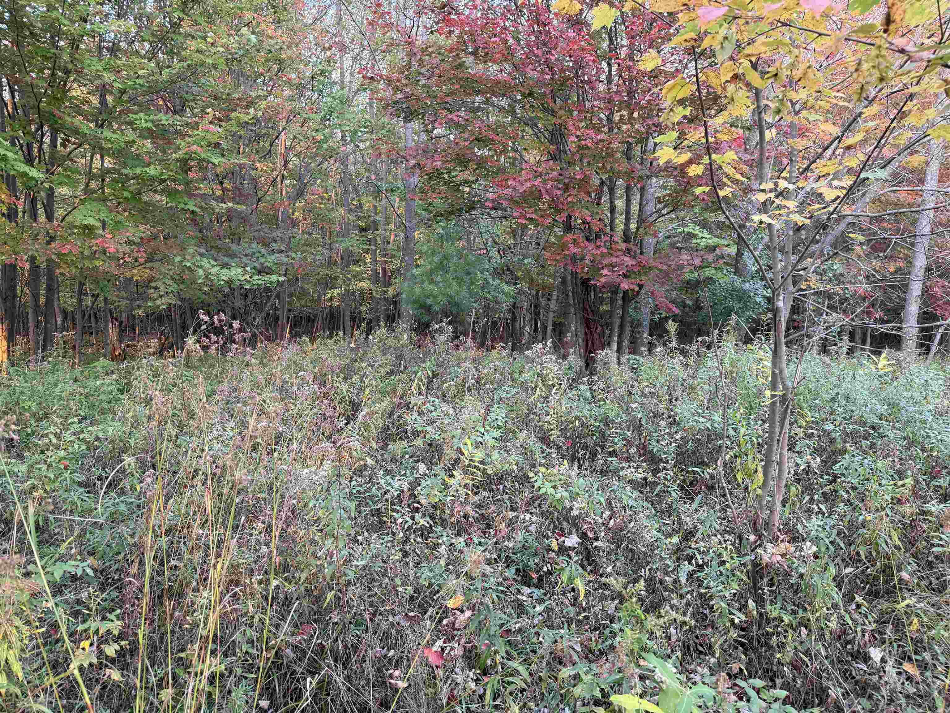 Lot 1 County Road Z Ringle, WI 54471 - Photo 7 of 17
