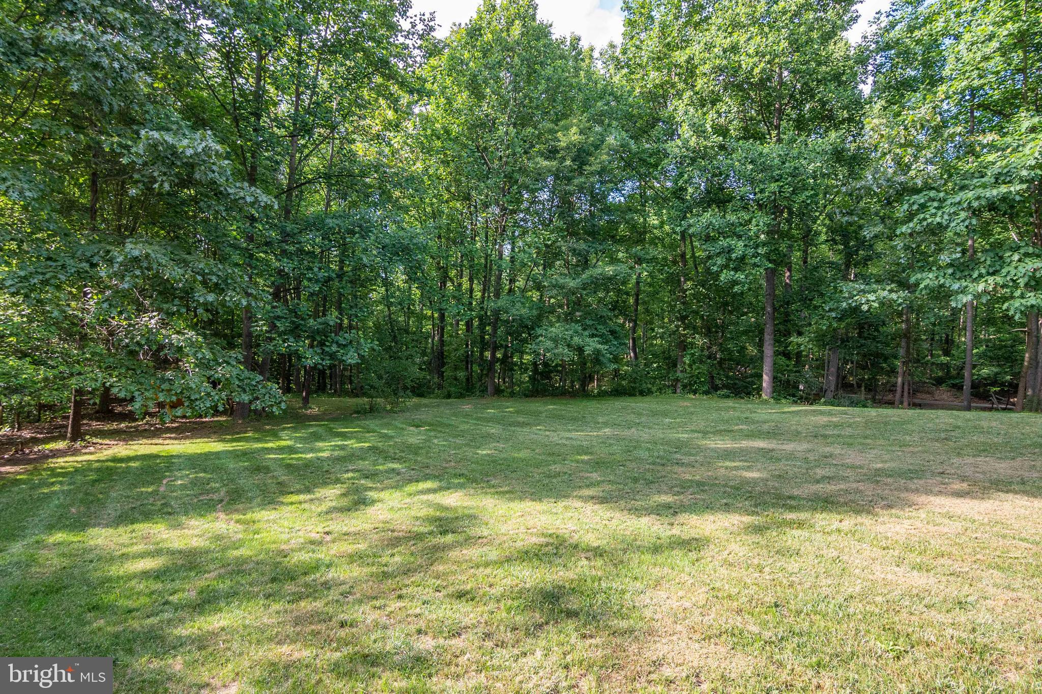 4236 Browntown Road Front Royal, VA 22630 - Photo 19 of 77 Gallery Image 19
