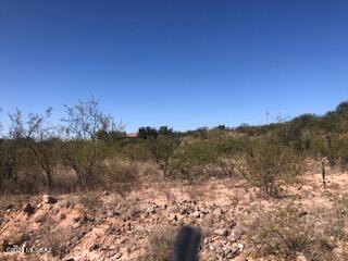 381 Del Court, Unit 16 Rio Rico, AZ 85648 - Photo 3 of 12