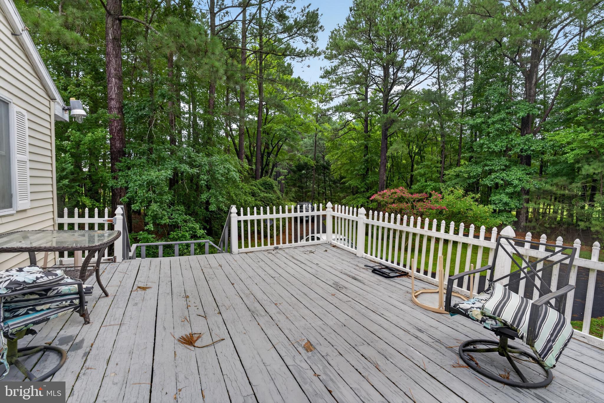 29523 Polks Road Princess Anne, MD 21853 - Photo 5 of 60 Gallery Image 5