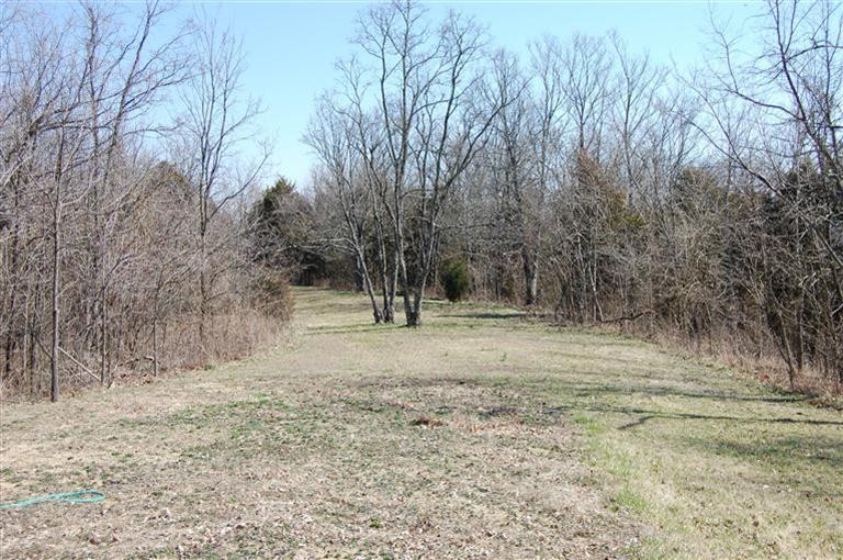 587 North Dividing Ridge Road Sadieville, KY 40370 - Photo 6 of 19 Farm is 25% cleared approximately, and 7