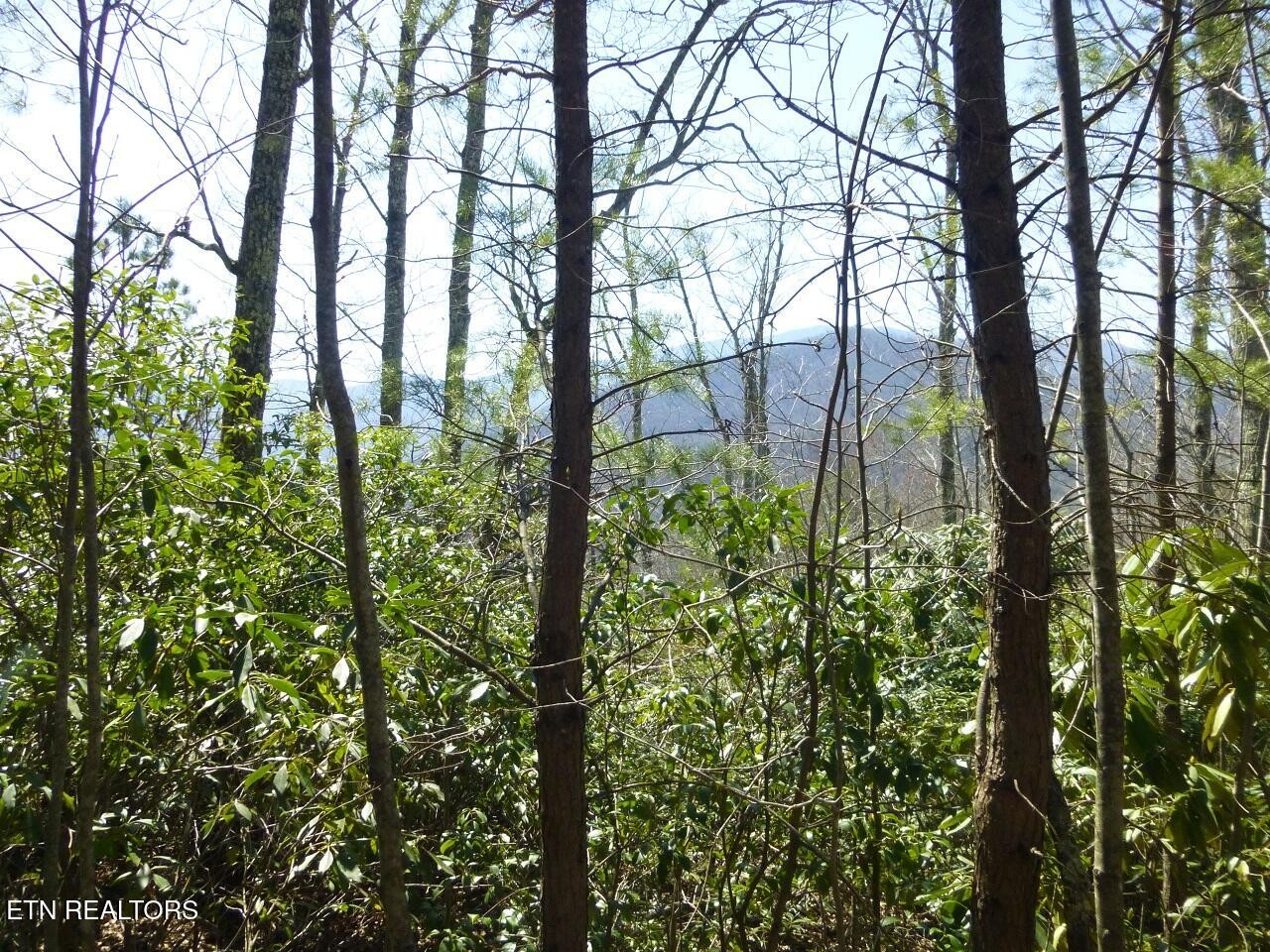 2425 Sonshine Ridge Road Cosby, TN 37722 - Photo 11 of 14 Gallery Image 11