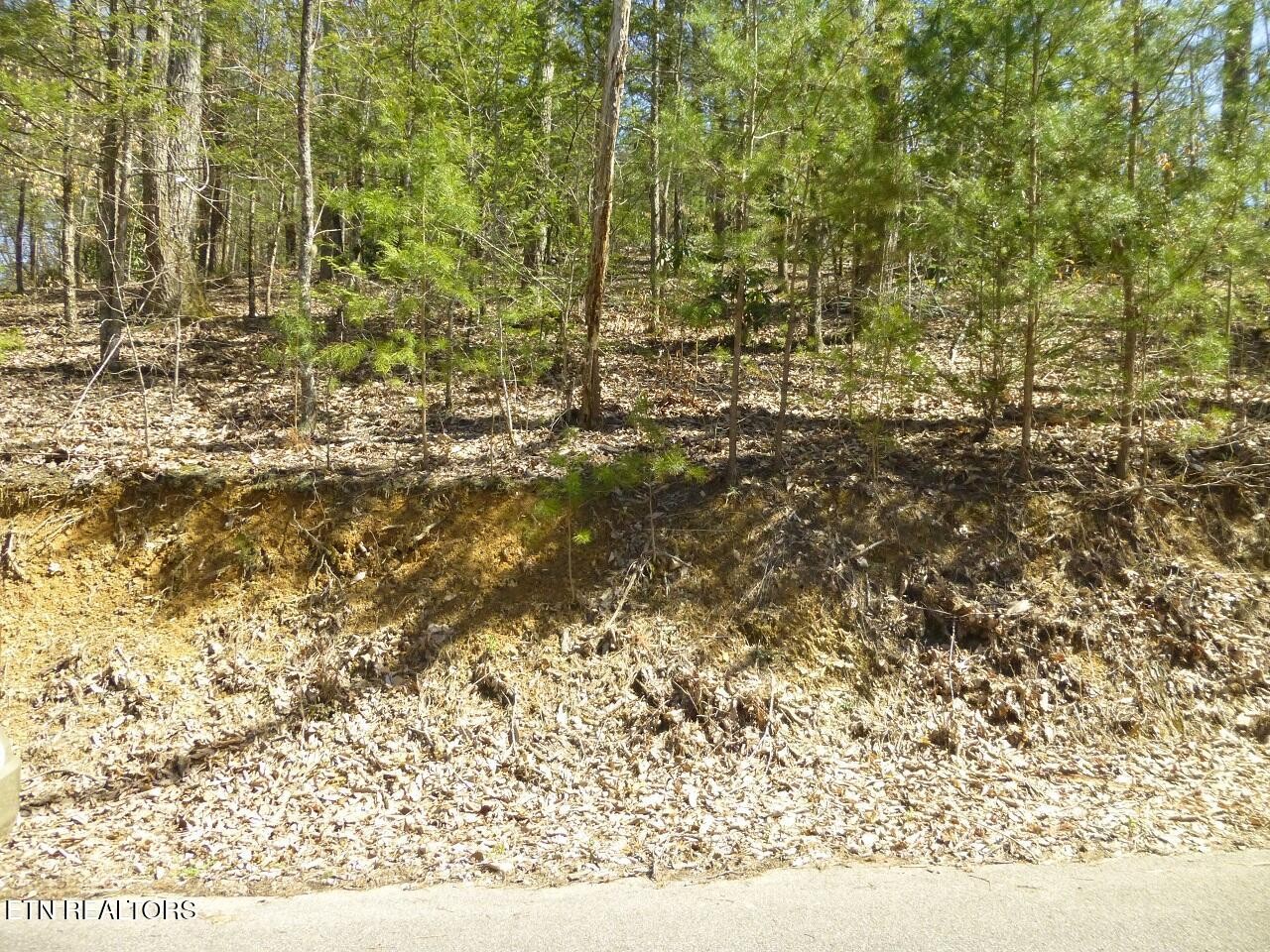2425 Sonshine Ridge Road Cosby, TN 37722 - Photo 12 of 14 Gallery Image 12