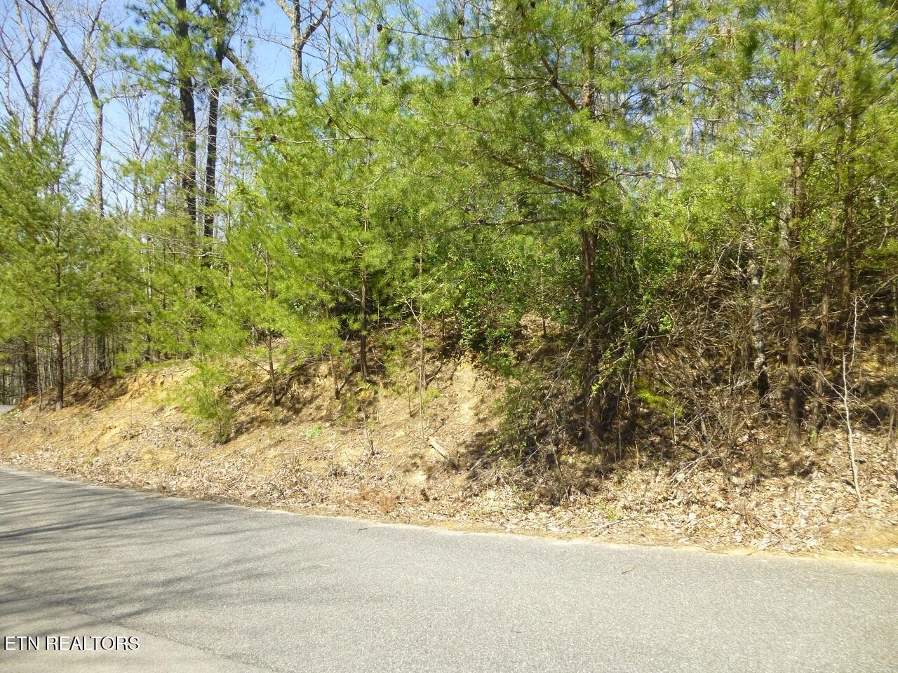 2425 Sonshine Ridge Road Cosby, TN 37722 - Photo 14 of 14 Gallery Image 14