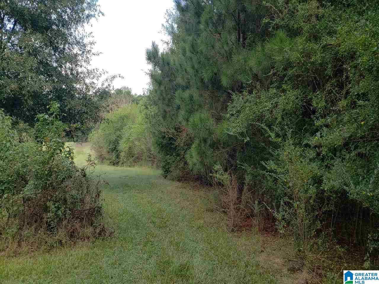 0 Eva Road Northeast, Unit 1 Eva, AL 35621 - Photo 3 of 6