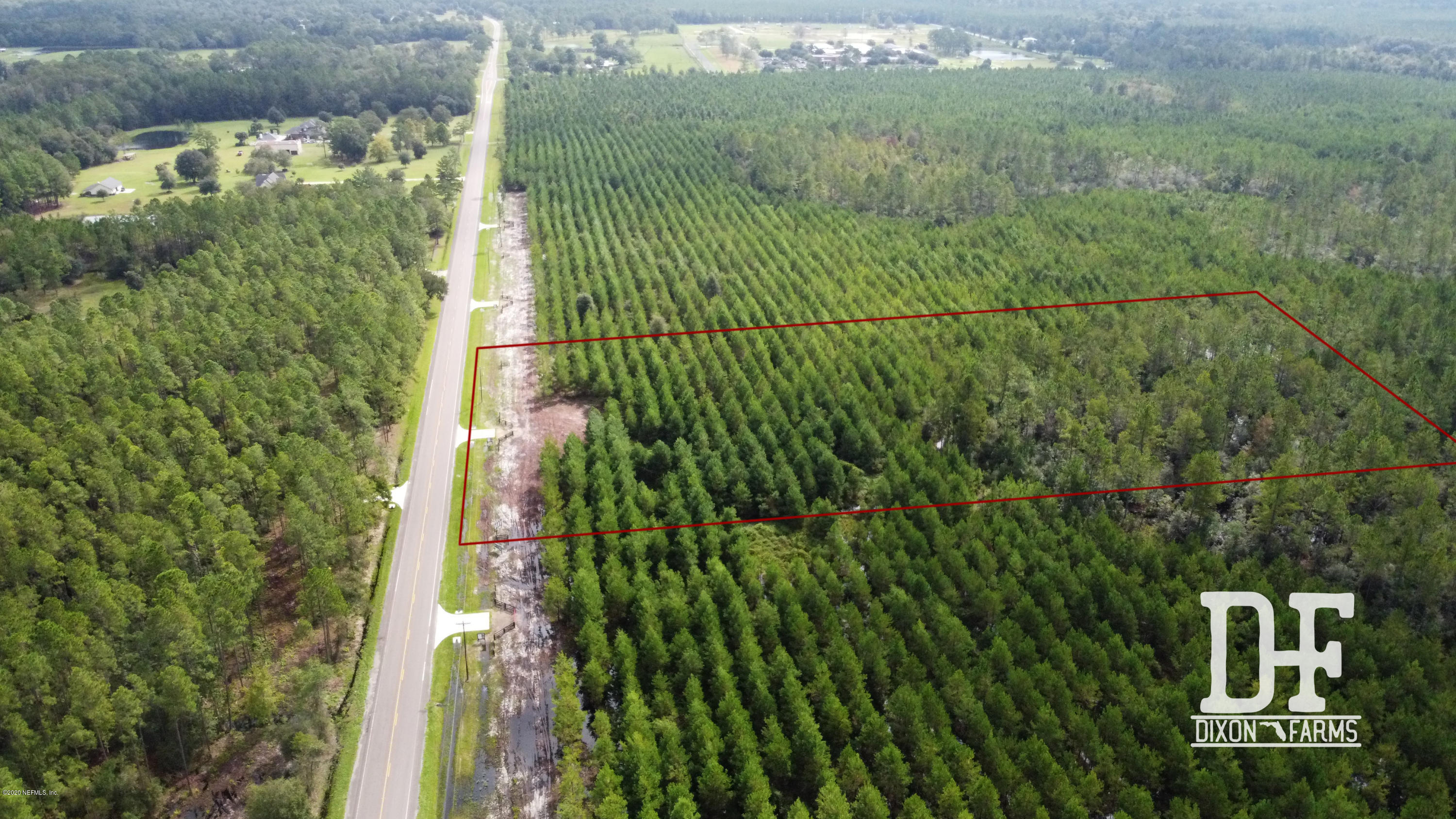 DJI_0988_labeled