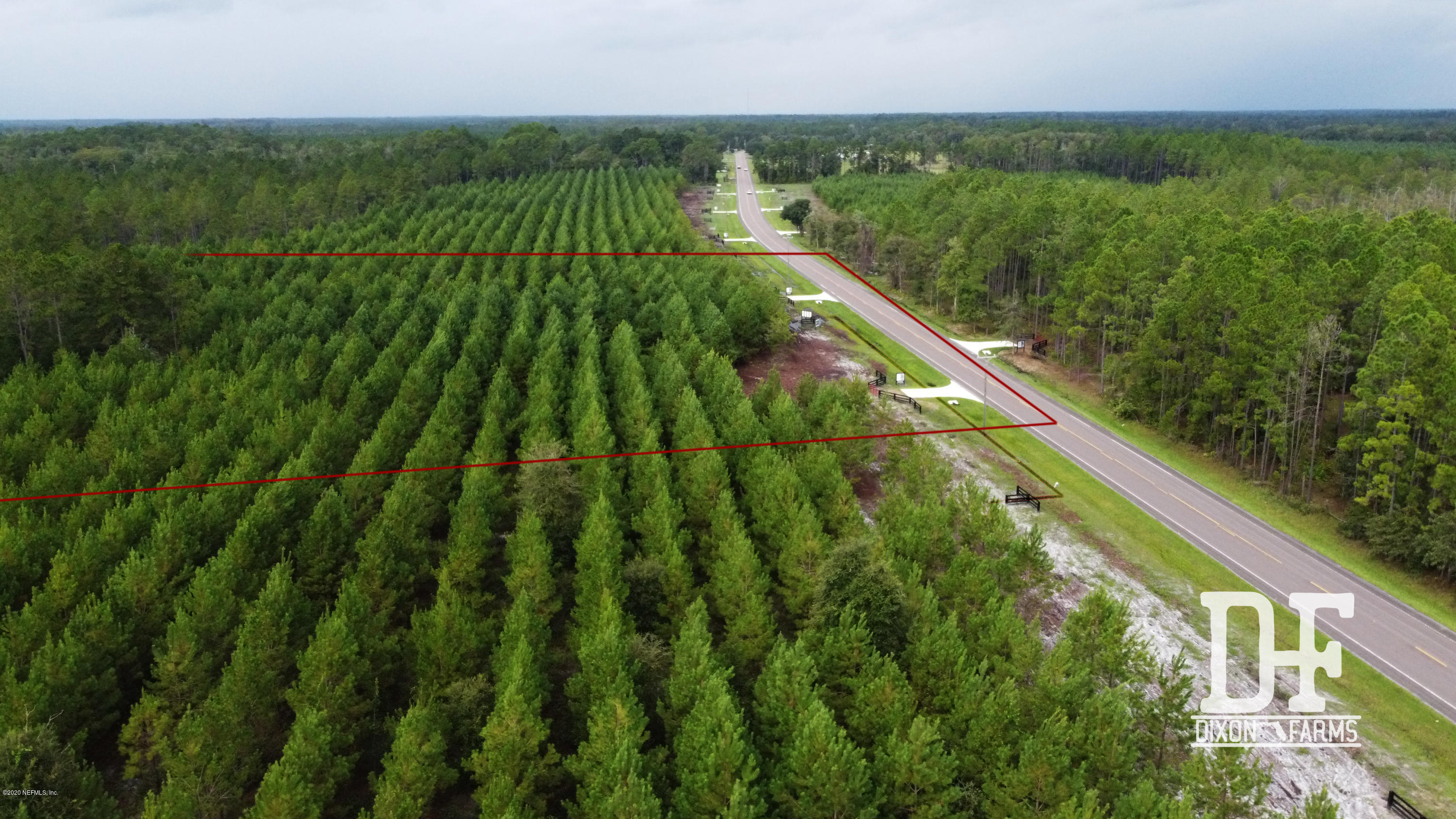 DJI_0978_labeled