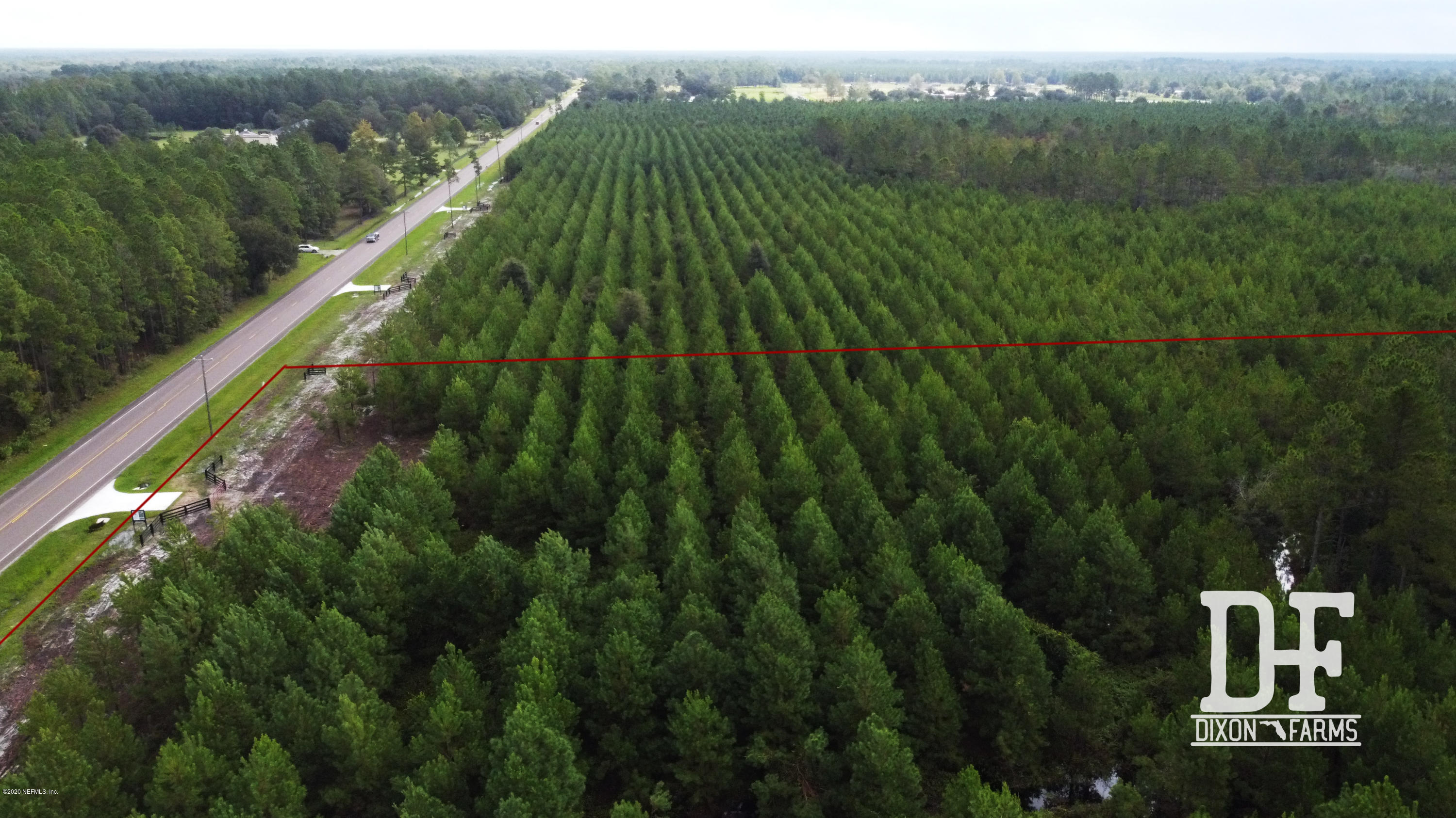 DJI_0984_labeled