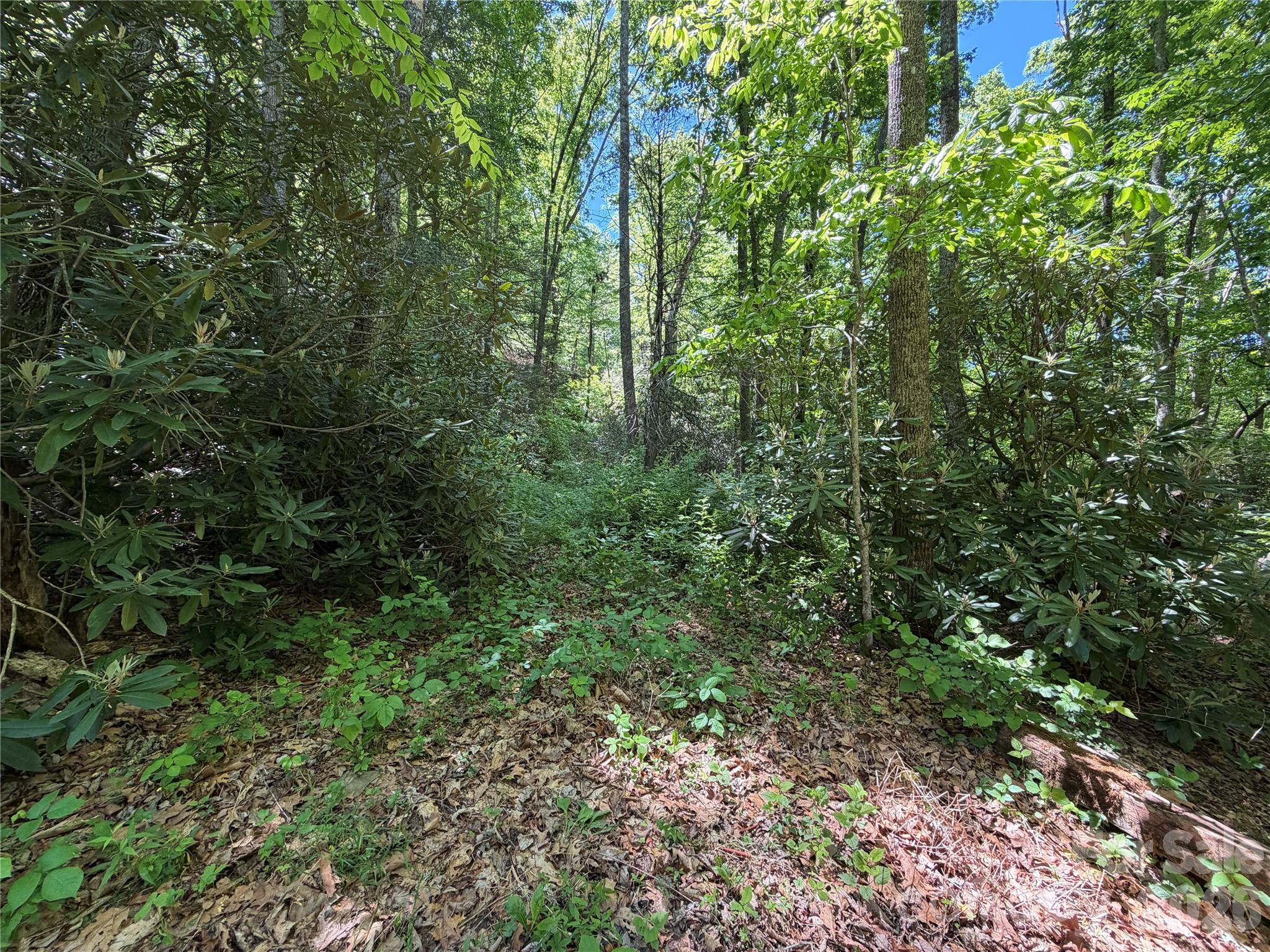 25 Buck Ridge Road Fairview, NC 28730 - Photo 20 of 27 Gallery Image 20