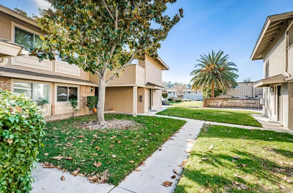 a house with palm tree in front of it