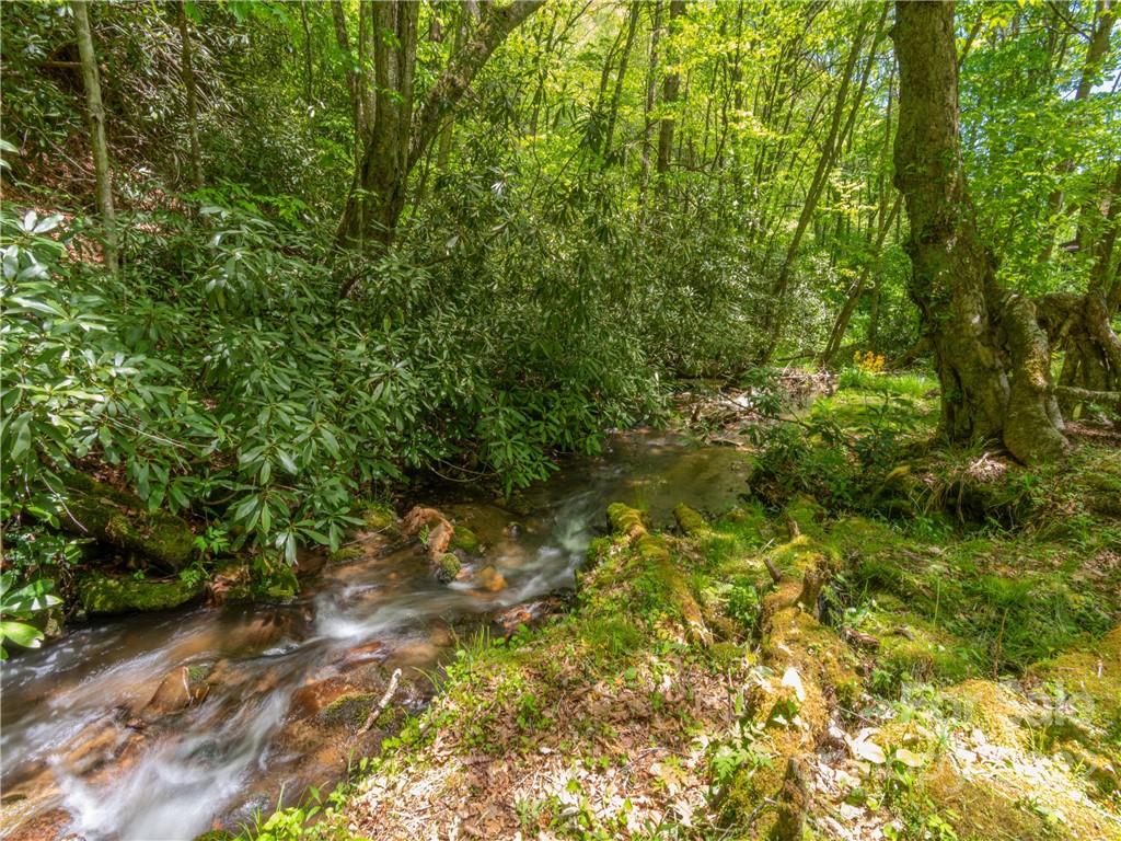 560 Mash Stomp Road Maggie Valley, NC 28751 - Photo 21 of 21 Gallery Image 21