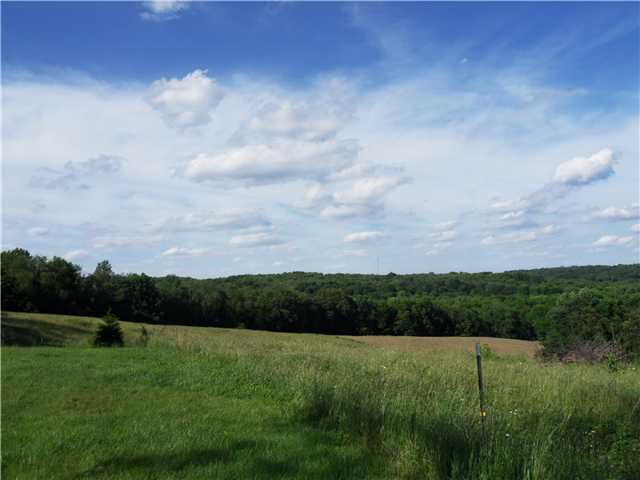20563 Daniels Road Mount Vernon, OH 43050 - Photo 3 of 18 Gallery Image 3