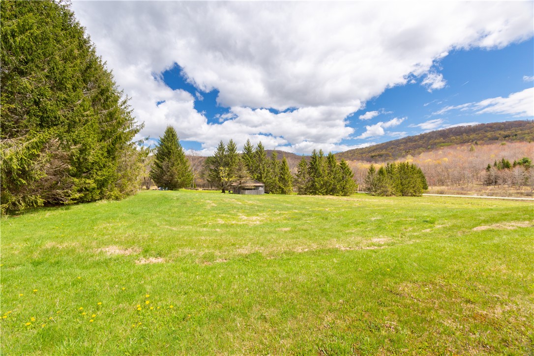 2157 New Road Bovina Center, NY 13740 - Photo 2 of 33