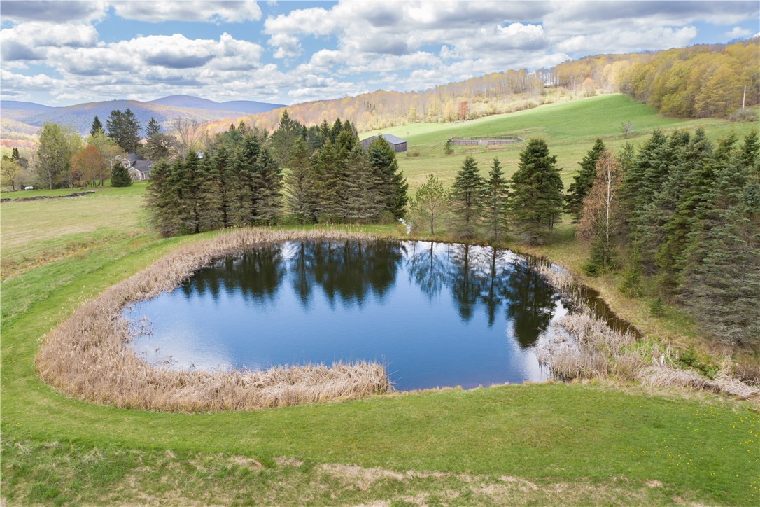 2157 New Road Bovina Center, NY 13740 - Photo 8 of 33