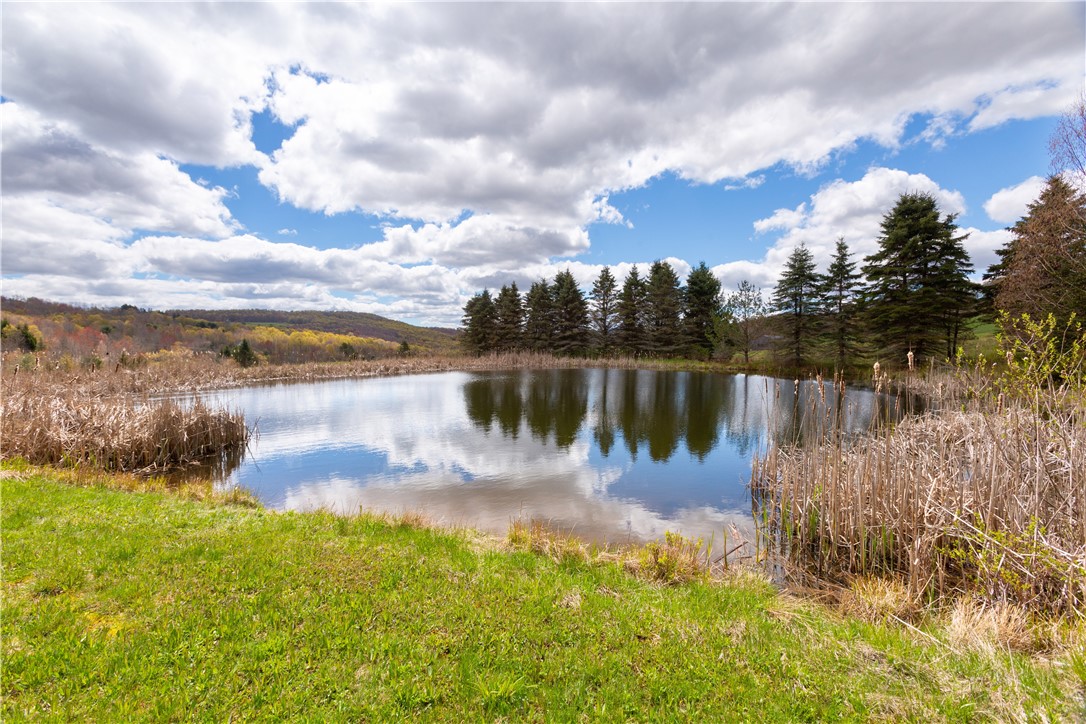 2157 New Road Bovina Center, NY 13740 - Photo 9 of 33