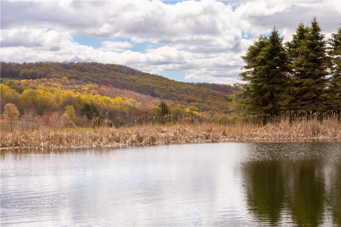 2157 New Road Bovina Center, NY 13740 - Photo 10 of 33