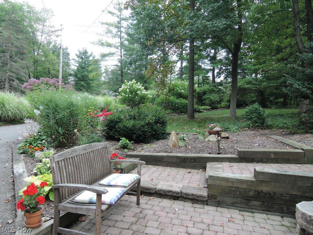 9580 Sherman Road Chesterland, OH 44026 - Photo 13 of 24 Looking toward the road from the driveway, you can see the privacy.