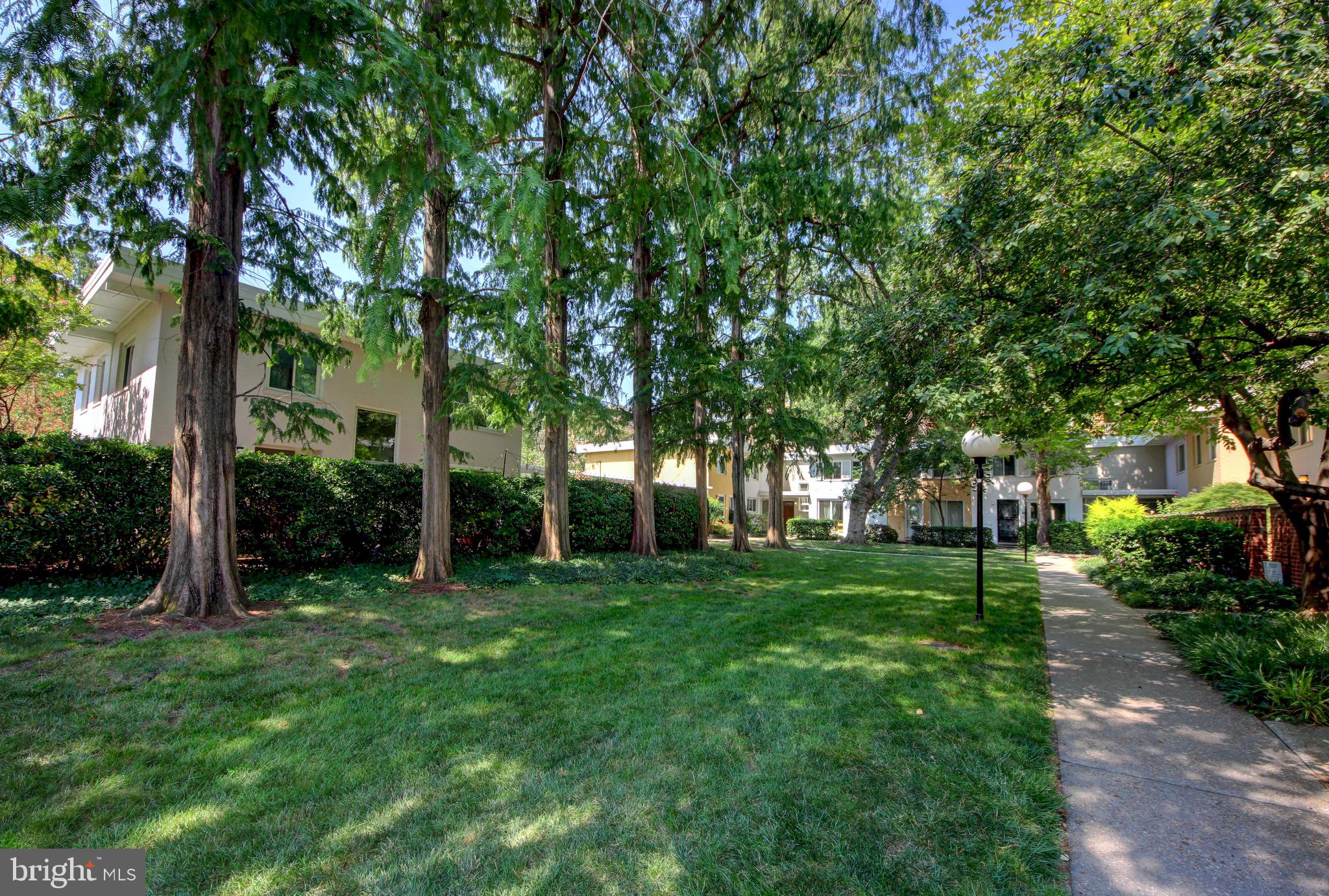 729 3rd Street Southwest Washington, DC 20024 - Photo 23 of 33 Tree-lined outdoor courtyards of Capitol Park II