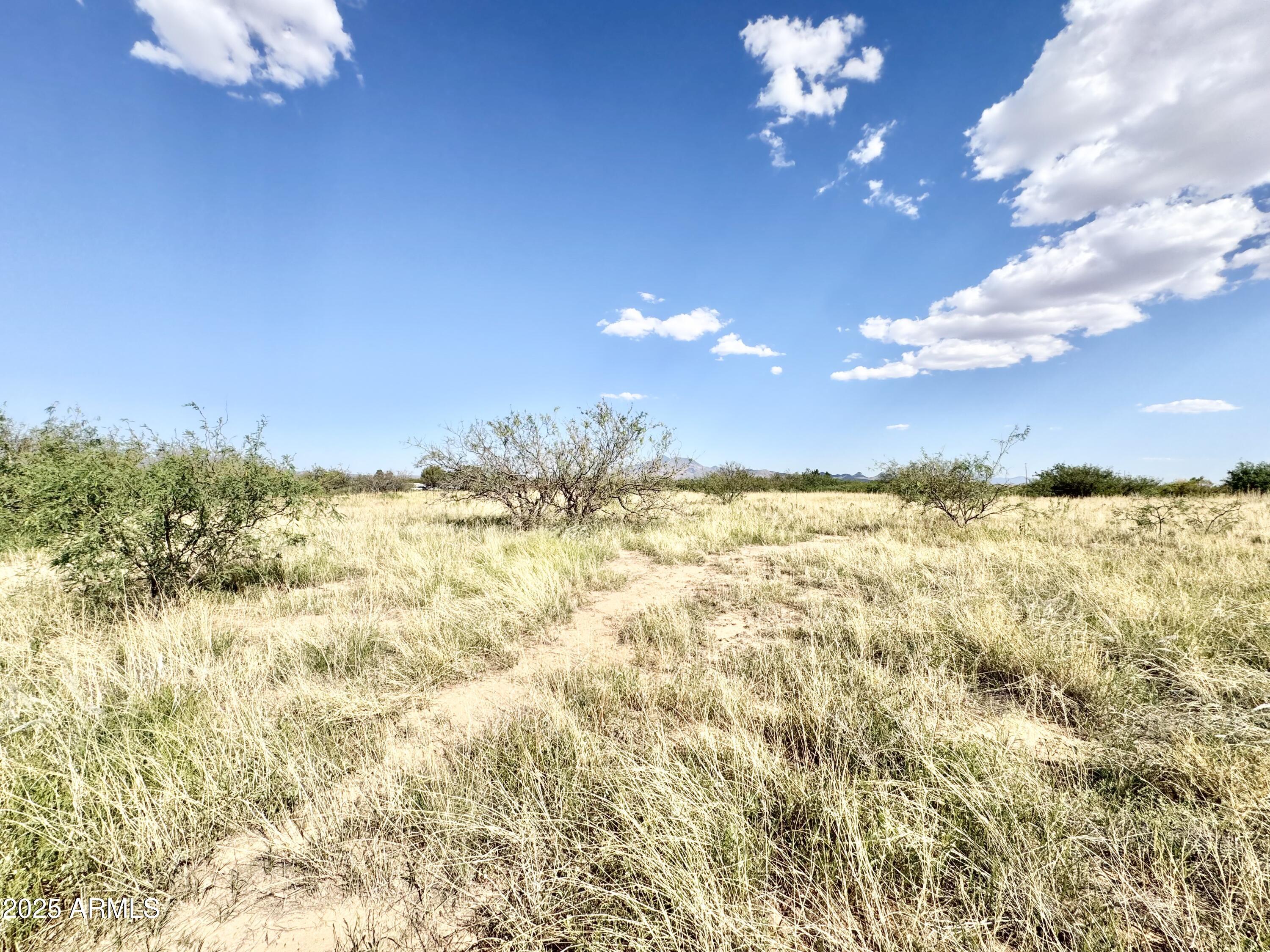 Tbd South Paint Ranch Road Hereford, AZ 85615 - Photo 15 of 20 IMG_1042