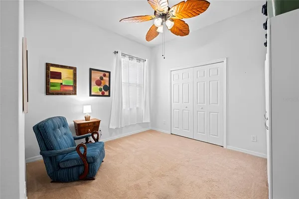 a view of a backyard with potted plants and palm tree
