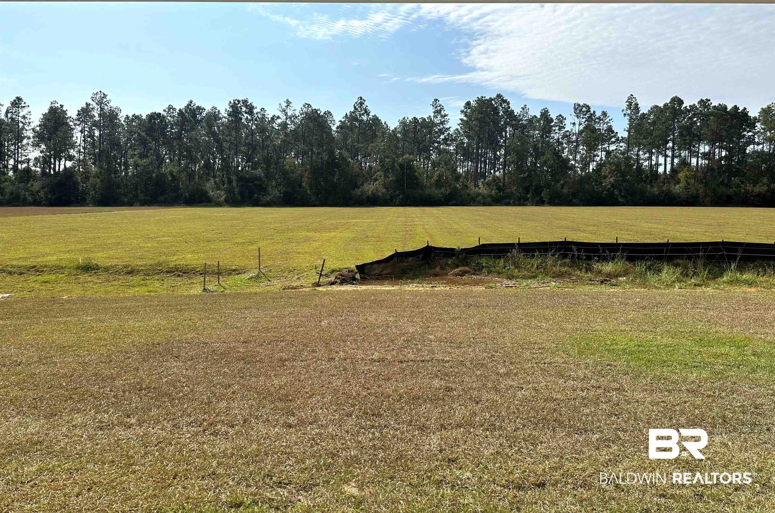 1227 Hayward Loop Foley, AL 36535 - Photo 4 of 29 View of backyard from porch