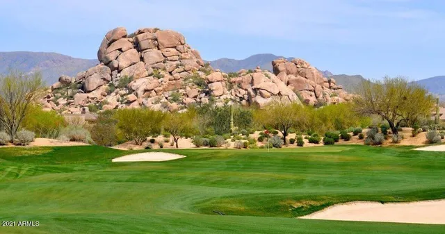 a view of a playground with plants and trees