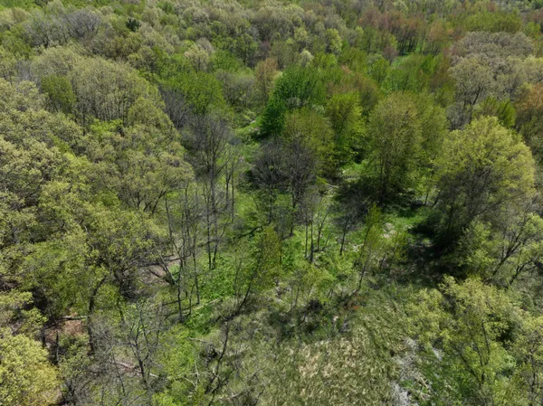 $1,150,000 | 27350 H Drive North, Albion, MI 49224