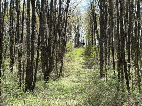 $1,150,000 | 27350 H Drive North, Albion, MI 49224