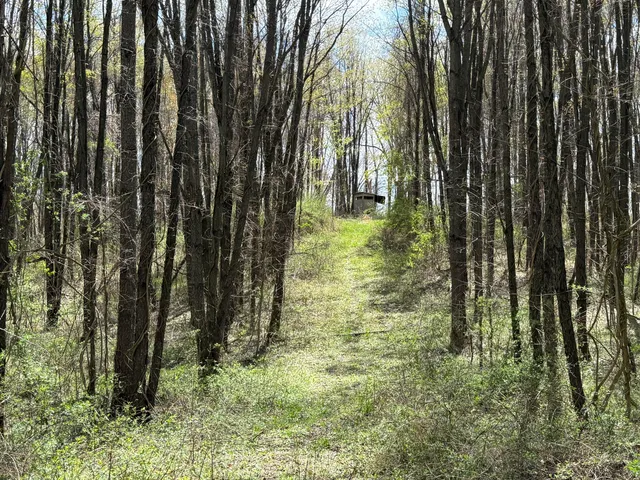 $1,349,900 | 27350 H Drive North, Albion, MI 49224