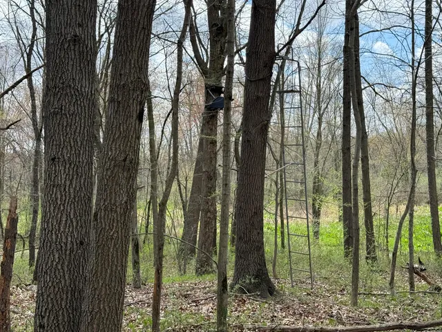 $1,349,900 | 27350 H Drive North, Albion, MI 49224