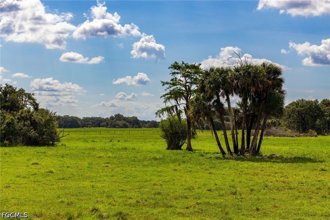 21405 Dooley Grade Road Clewiston, FL 33440 - Photo 16 of 50