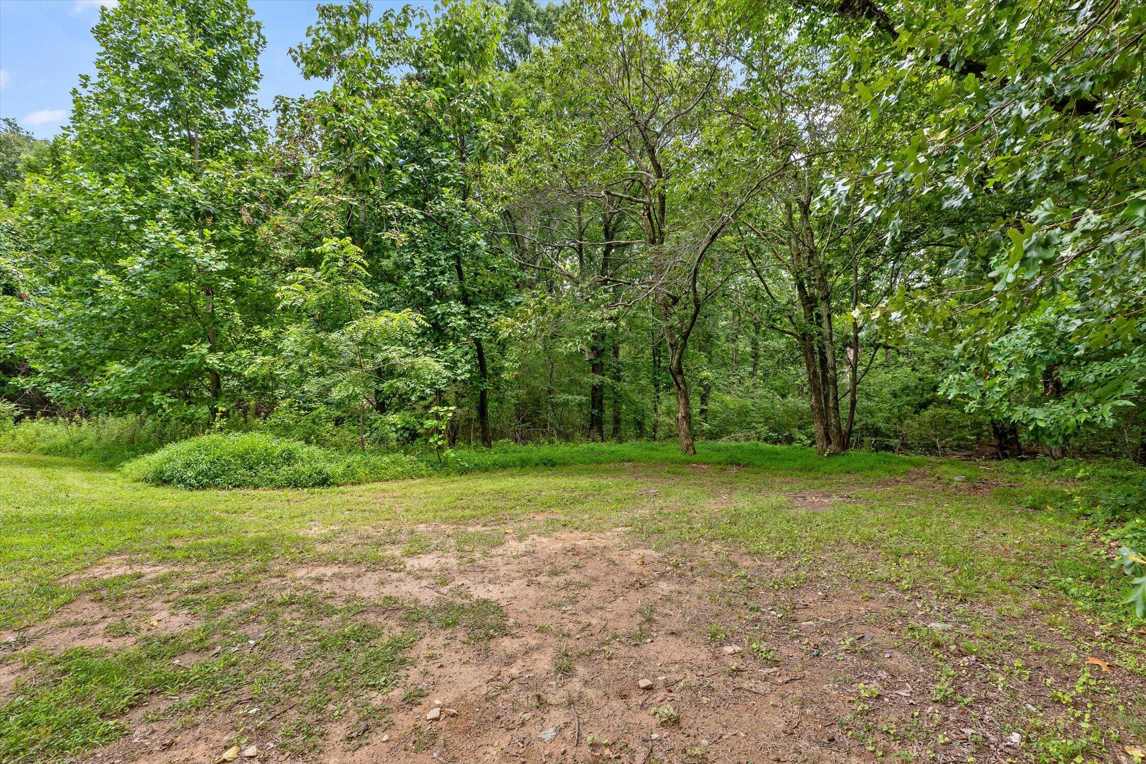 7524 Sawyer Road Signal Mountain, TN 37377 - Photo 9 of 51 09-7524 Sawyer-46